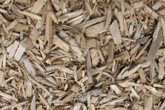 biomass boilers Leck